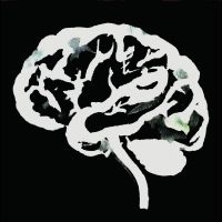 Ruins - Brain Flakes in der Gruppe VINYL / Pop-Rock bei Bengans Skivbutik AB (5522462)