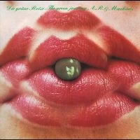 Achim Reichel & Machine - Die Grüne Reise ? The Green Journey in der Gruppe VINYL / Pop-Rock bei Bengans Skivbutik AB (5522727)