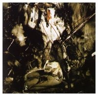 Fields Of The Nephilim - Elizium (Brick Red Vinyl) in der Gruppe VINYL / Pop-Rock bei Bengans Skivbutik AB (5522805)