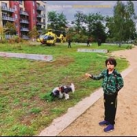 König Boris - Disneyland After Dark in der Gruppe CD / Pop-Rock bei Bengans Skivbutik AB (5523109)