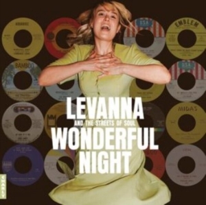 V/A - Wonderful Night Curated By Levanna in der Gruppe CD / Pop-Rock,RnB-Soul bei Bengans Skivbutik AB (5523369)