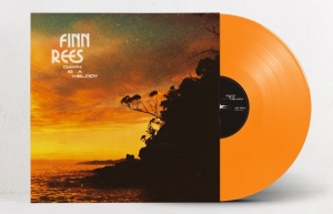 Finn Rees - Dawn Is A Melody in der Gruppe VINYL / Jazz bei Bengans Skivbutik AB (5523532)
