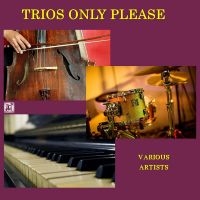 Trios Only Please - Trios Only Please in der Gruppe CD / Jazz bei Bengans Skivbutik AB (5523710)