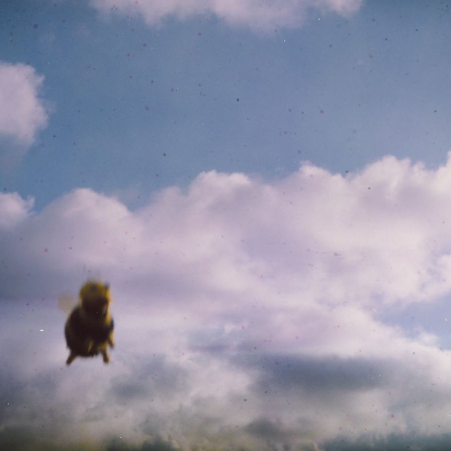 Pond - Stung! (Ltd Splatter Bee Vinyl) in der Gruppe UNSERE TIPPS / Freitagsveröffentlichungen / Fredag den 21:a Juni 2024 bei Bengans Skivbutik AB (5523956)