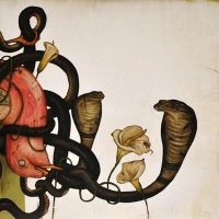 Rival Sons - Head Down in der Gruppe UNSERE TIPPS / Freitagsveröffentlichungen / Fredag den 7:e Juni 2024 bei Bengans Skivbutik AB (5524108)