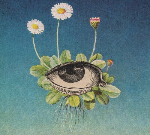 Øjerum - The Limited Circle Is Pure in der Gruppe CD / Norsk Musik bei Bengans Skivbutik AB (5524831)