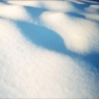 Flore Laurentienne - 8 Tableaux in der Gruppe VINYL / Pop-Rock bei Bengans Skivbutik AB (5525922)