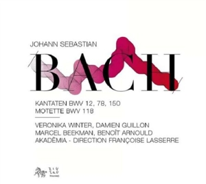 Bach - Cantatas in der Gruppe Externt_Lager / Naxoslager bei Bengans Skivbutik AB (552744)
