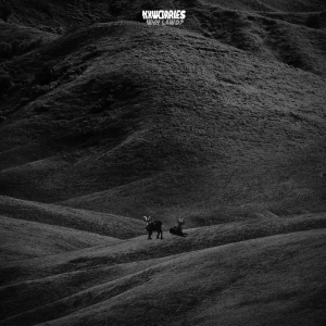 Nxworries - Why Lawd? in der Gruppe UNSERE TIPPS / Freitagsveröffentlichungen / Fredag den 7:e Juni 2024 bei Bengans Skivbutik AB (5535964)