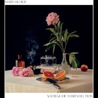 Ocher Mary - Your Guide To Revolution in der Gruppe UNSERE TIPPS / Freitagsveröffentlichungen / Fredag den 14:e Juni 2024 bei Bengans Skivbutik AB (5536001)
