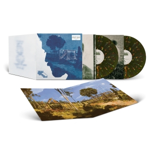 Zayn - Room Under The Stairs (Vinyl) in der Gruppe VINYL / Pop-Rock bei Bengans Skivbutik AB (5536091)