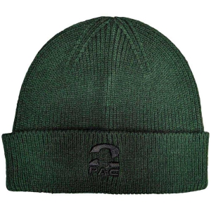 Tupac - Fist Logo Green Beanie H in der Gruppe MERCHANDISE / Merch / Hip Hop-Rap bei Bengans Skivbutik AB (5536554)