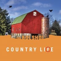 The Bolshoi - Country Life (Green Vinyl & Orange in der Gruppe VINYL / Pop-Rock bei Bengans Skivbutik AB (5537164)