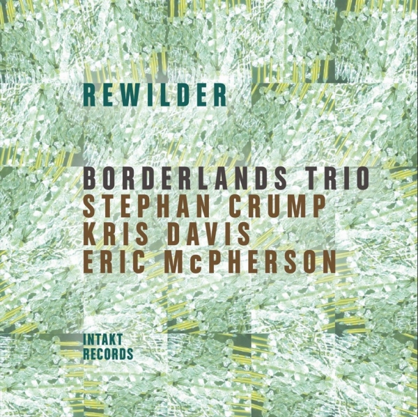 Borderlands Trio - Rewilder in der Gruppe CD / Jazz bei Bengans Skivbutik AB (5538664)