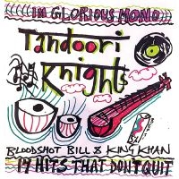 Tandoori Knights - 14 Hits That Don't Quit in der Gruppe VINYL bei Bengans Skivbutik AB (5538856)