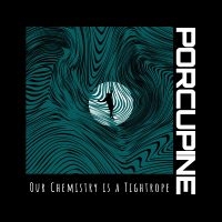 Porcupine - Our Chemistry Is A Tightrope in der Gruppe VINYL / Pop-Rock bei Bengans Skivbutik AB (5538946)