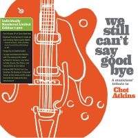 We Still Can't Say Goodbye: A Music - We Still Can't Say Goodbye: A Music in der Gruppe VINYL / Pop-Rock bei Bengans Skivbutik AB (5538978)