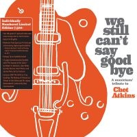 We Still Can't Say Goodbye: A Music - We Still Can't Say Goodbye: A Music in der Gruppe VINYL bei Bengans Skivbutik AB (5538979)