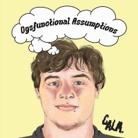 Calm. - Dysfunctional Assumptions in der Gruppe CD bei Bengans Skivbutik AB (5538992)