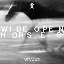 James Vincent Mcmorrow - Wide Open, Horses in der Gruppe UNSERE TIPPS / Freitagsveröffentlichungen / Fredag den 14:e Juni 2024 bei Bengans Skivbutik AB (5539231)