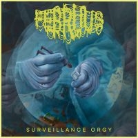 Februus - Surveillance Orgy (Digipack) in der Gruppe CD / Hårdrock bei Bengans Skivbutik AB (5539502)