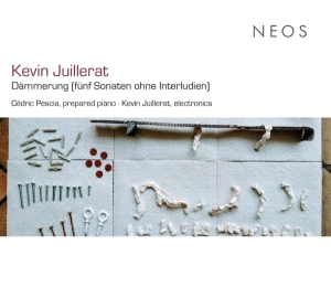 Cedric Pescia & Kevin Juillerat - Kevin Juillerat: Dämmerung (Fünf Sonaten Ohne Interludien) in der Gruppe CD bei Bengans Skivbutik AB (5539572)