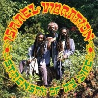 Israel Vibration - Strength Of My Life in der Gruppe UNSERE TIPPS / Freitagsveröffentlichungen / Fredag den 7:e Juni 2024 bei Bengans Skivbutik AB (5539603)