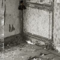Khanate - Clean Hands Go Foul in der Gruppe CD / Hårdrock bei Bengans Skivbutik AB (5539737)