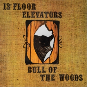 13Th Floor Elevators - Bull Of The Woods (Half Speed Remas in der Gruppe VINYL / Pop-Rock bei Bengans Skivbutik AB (5539744)