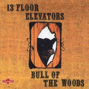 13Th Floor Elevators - Bull Of The Woods in der Gruppe CD / Pop-Rock bei Bengans Skivbutik AB (5539749)