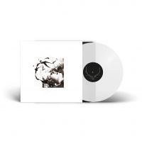 Tenhi - Airut: Aamujen (Clear Vinyl Lp) in der Gruppe VINYL / Pop-Rock bei Bengans Skivbutik AB (5539798)