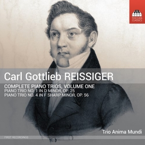 Trio Anima Mundi - Reissiger: Complete Piano Trios, Vo in der Gruppe CD bei Bengans Skivbutik AB (5539978)