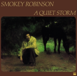 Smokey Robinson - A Quiet Storm in der Gruppe Övrigt /  bei Bengans Skivbutik AB (5540391)