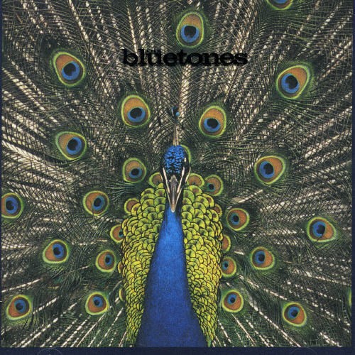 Bluetones - Expecting To Fly in der Gruppe Övrigt / bei Bengans Skivbutik AB (554304)