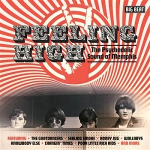 Various Artists - Feeling High: The Psychedelic Sound in der Gruppe CD / Pop-Rock,RnB-Soul bei Bengans Skivbutik AB (554800)