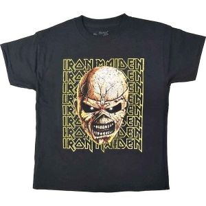 Iron Maiden - Big Trooper Head Boys T-Shirt Bl in der Gruppe MERCHANDISE / Merch / Hårdrock bei Bengans Skivbutik AB (5548728r)
