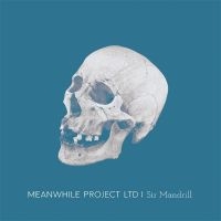 Meanwhile Project Ltd - Sir Mandrill in der Gruppe VINYL / Pop-Rock bei Bengans Skivbutik AB (5548970)