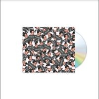 Tom Vek - Confirm Yourself in der Gruppe CD bei Bengans Skivbutik AB (5549039)