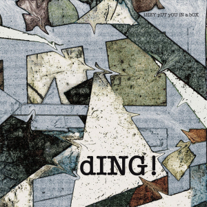Ding - tHEY pUT yOU iN a bOX in der Gruppe VINYL / Pop-Rock bei Bengans Skivbutik AB (5549172)