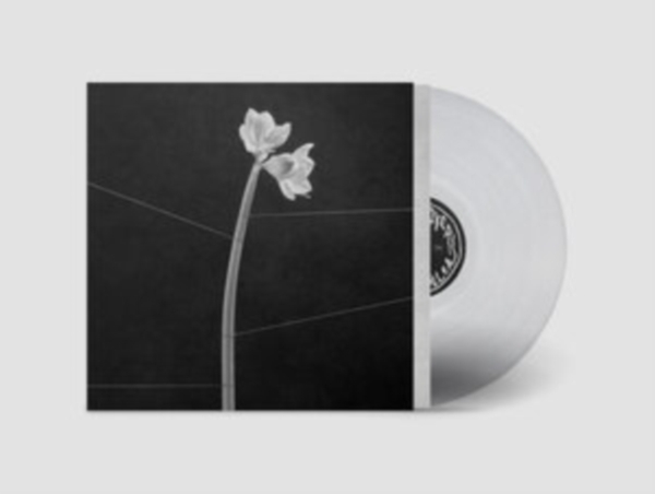 Trentemøller - Dreamweaver (Crystal Clear Vinyl) in der Gruppe UNSERE TIPPS / Freitagsveröffentlichungen / Fredag den 13:e september 2024 bei Bengans Skivbutik AB (5550177)