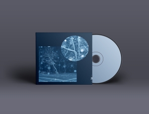 Daniel Herskedal - Call For Winter Ii: Resonance in der Gruppe Övrigt /  bei Bengans Skivbutik AB (5550946)