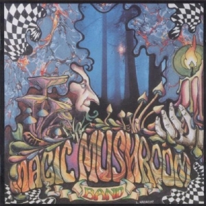 Magic Mushroom Band - Rehashed in der Gruppe CD / Pop-Rock bei Bengans Skivbutik AB (5551052)