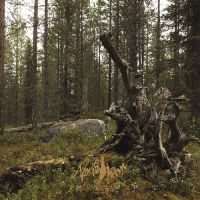 Nordvisor - Ett Samlingsverk Från Nordvis (Blac in der Gruppe UNSERE TIPPS / Freitagsveröffentlichungen / Fredag den 2:e augusti bei Bengans Skivbutik AB (5551405)