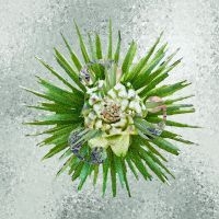 How??? - How??? (Ultra Clear Vinyl) in der Gruppe UNSERE TIPPS / Freitagsveröffentlichungen / Fredag den 2:e augusti bei Bengans Skivbutik AB (5551411)