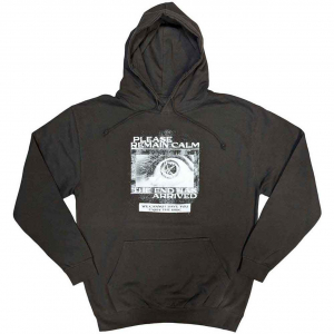 Bring Me The Horizon - Remain Calm Fp Uni Grey Hoodie in der Gruppe Övrigt / bei Bengans Skivbutik AB (5552115r)