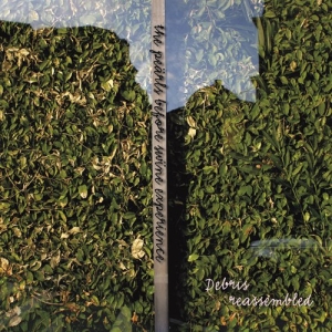 The Pearls Before Swine Experience - Debris Reassembled in der Gruppe CD bei Bengans Skivbutik AB (555248)
