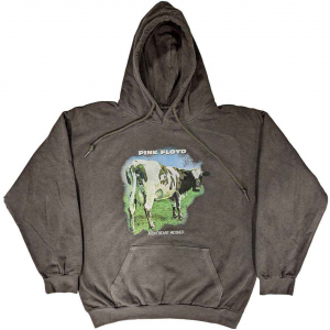 Pink Floyd - Atom Heart M Fade Char Hoodie in der Gruppe Övrigt / bei Bengans Skivbutik AB (5553930r)