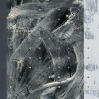 Orcas - How To Color A Thousand Mistakes in der Gruppe VINYL / Pop-Rock bei Bengans Skivbutik AB (5554181)