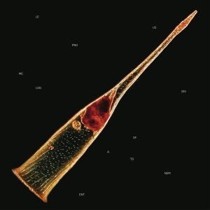 Leprous - Melodies Of Atonement in der Gruppe CD / Pop-Rock bei Bengans Skivbutik AB (5555708)