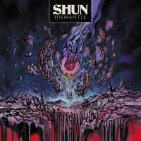 Shun - Dismantle in der Gruppe CD / Pop-Rock bei Bengans Skivbutik AB (5555824)
